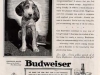 Budweiser Ad (1936)